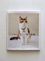 手編みのかわいい猫の首輪